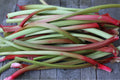 Red rhubarb stalks cut fresh at Buckeye FarmZ