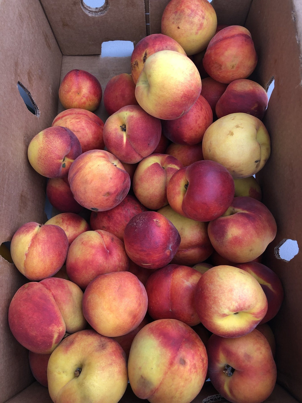 Tree-ripened peaches from the Buckeye FarmZ orchard