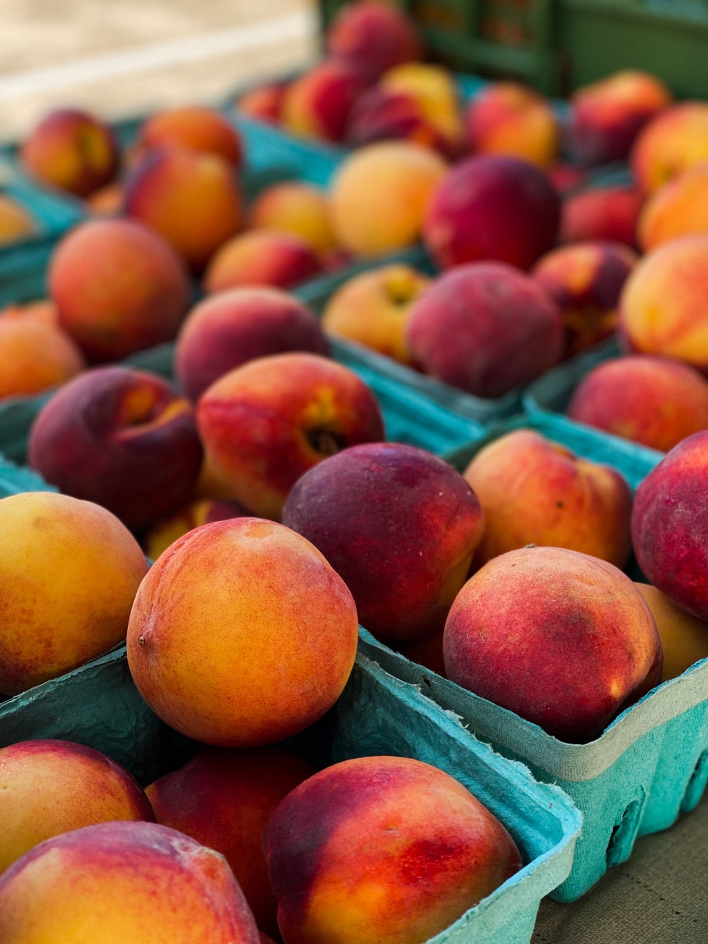 Tree-ripened peaches from the Buckeye FarmZ orchard