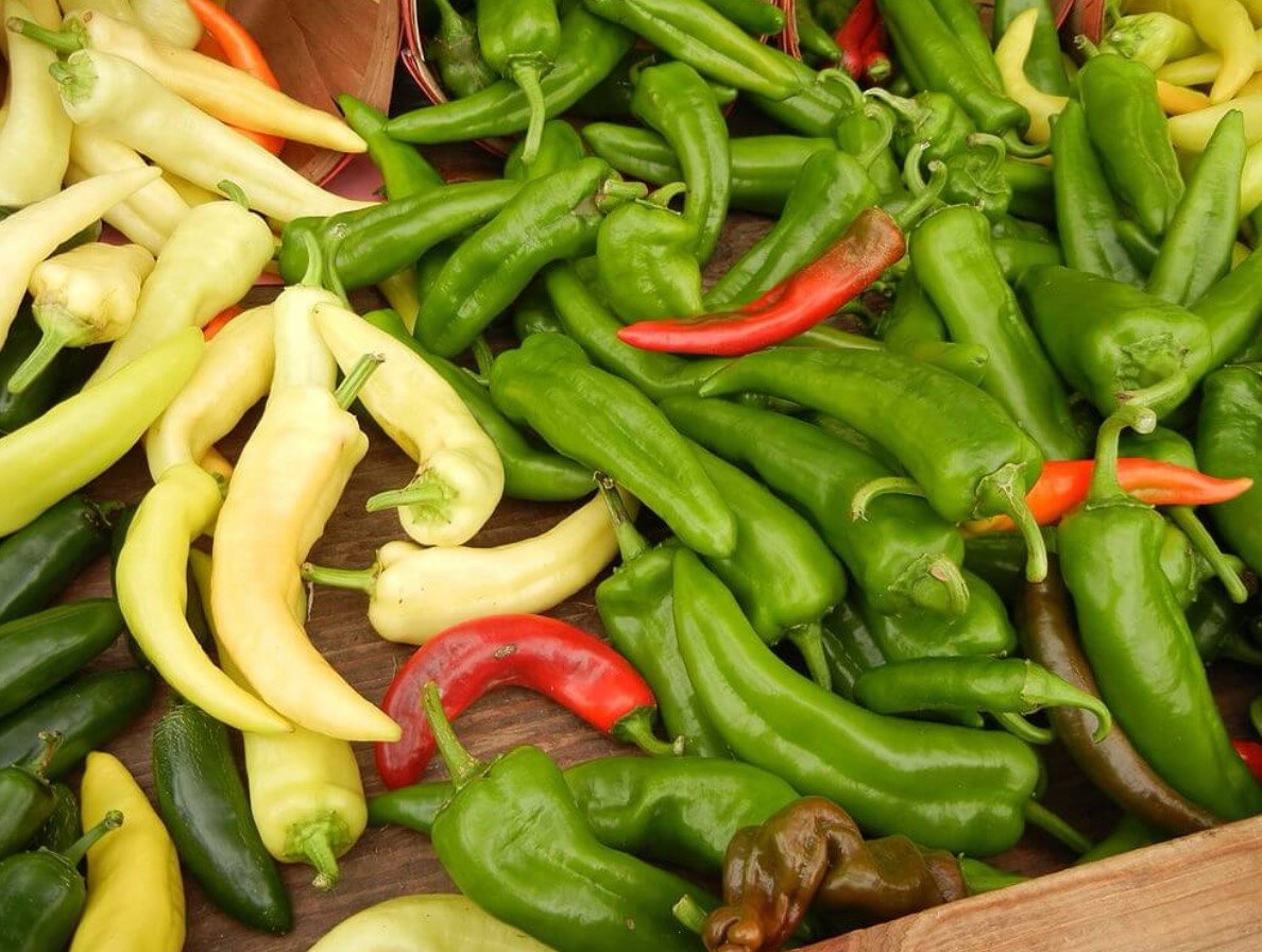 Bell and banana peppers by the basket at the Buckeye FarmZ market stand