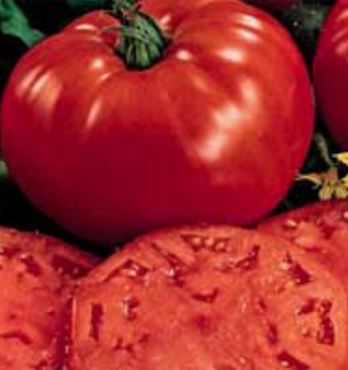 Rows of ripe red tomatoes laid out on the Buckeye FarmZ market table