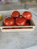 Ripe field tomatoes ready to be picked by the bushel for canning at Buckeye FarmZ