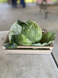 Heads of fresh cabbage on the Buckeye FarmZ market table