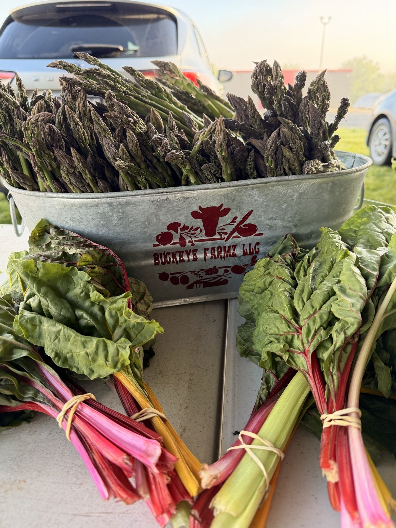 Hand-tied bundles of fresh cut asparagus on the Buckeye FarmZ market table