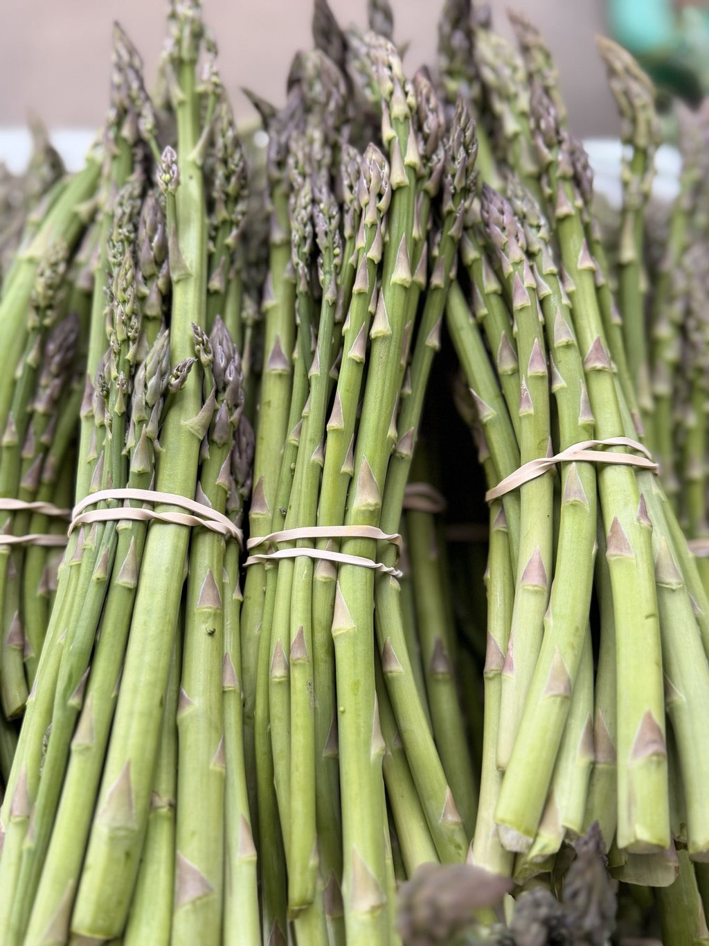 Hand-tied bundles of fresh cut asparagus on the Buckeye FarmZ market table
