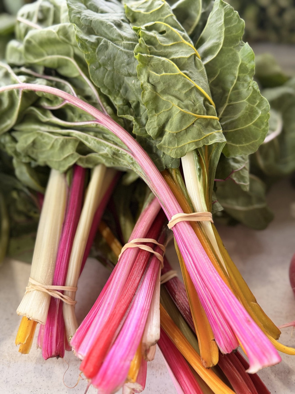Bunches of rainbow Swiss chard with pink, gold and white stems grown at Buckeye FarmZ