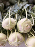 Green and purple kohlrabi bulbs freshly pulled at Buckeye FarmZ