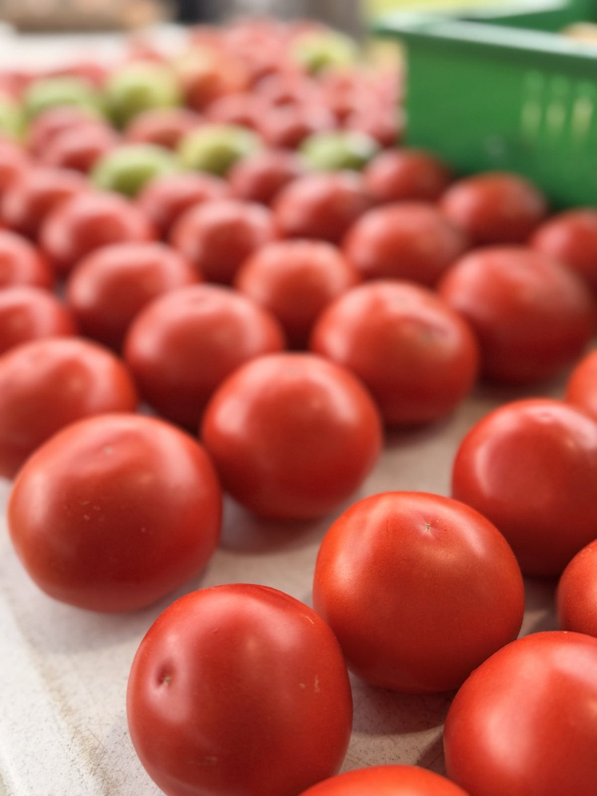 Rows of ripe red tomatoes laid out on the Buckeye FarmZ market table