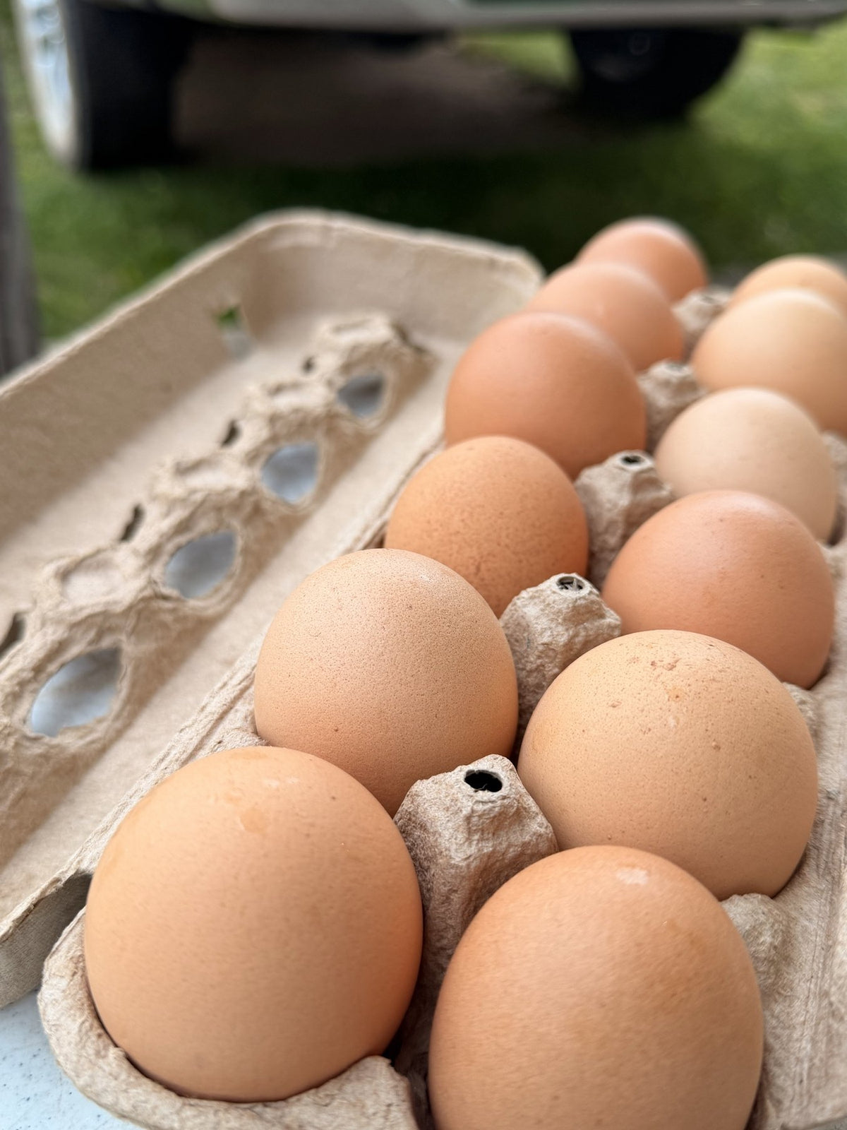 A carton of brown farm-fresh eggs gathered at Buckeye FarmZ