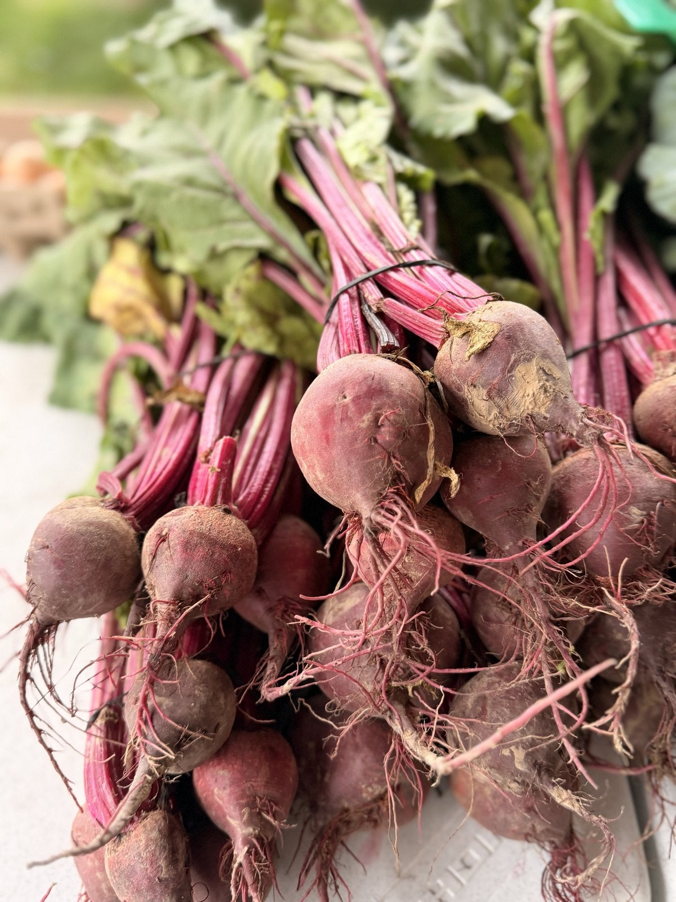 Bunches of fresh beets with the tops still on at the Buckeye FarmZ market stand