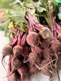 Fresh beets pulled and topped for canning at Buckeye FarmZ