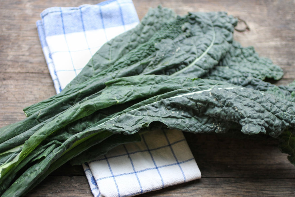 Fresh-cut curly kale bagged for the Buckeye FarmZ market stand