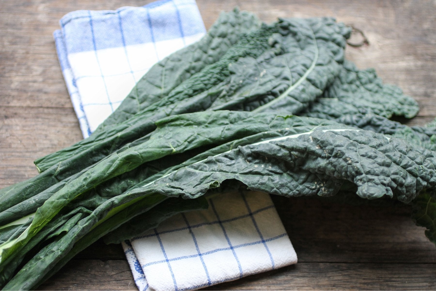 Fresh-cut curly kale bagged for the Buckeye FarmZ market stand